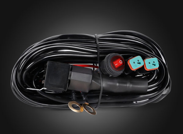 Wiring Harness, 2 Outputs - 84002